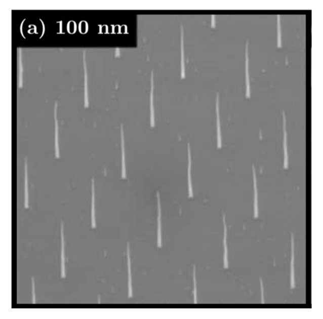 Optimisation des sources d’électrons à effet de champ basées sur des réseaux de nanostructures de carbone
